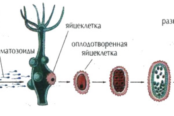 Ссылки кракен 2024